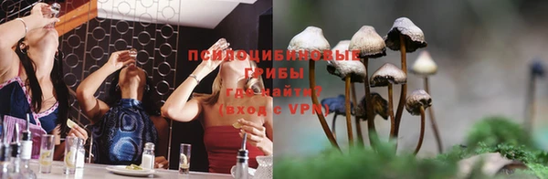 трава Арсеньев
