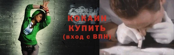 трава Арсеньев