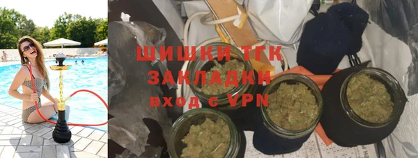 трава Арсеньев