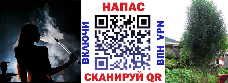 Каннабис Ganja  закладка  Макушино 